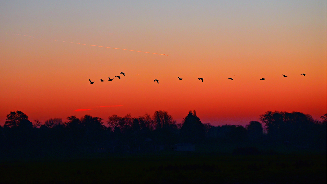 Sunrise CPE
