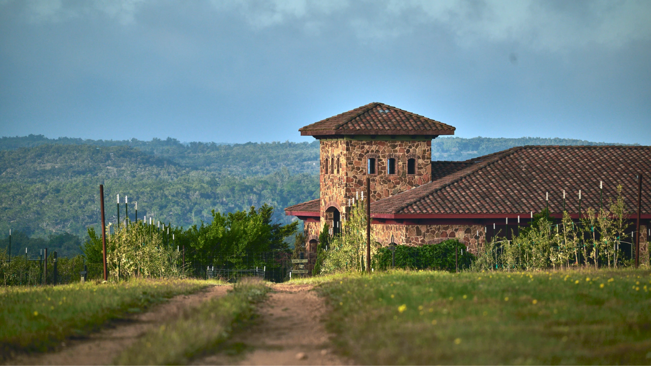 Texas Olive Co_Behind the Scenes