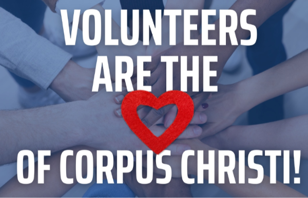 Volunteer Graphic - website