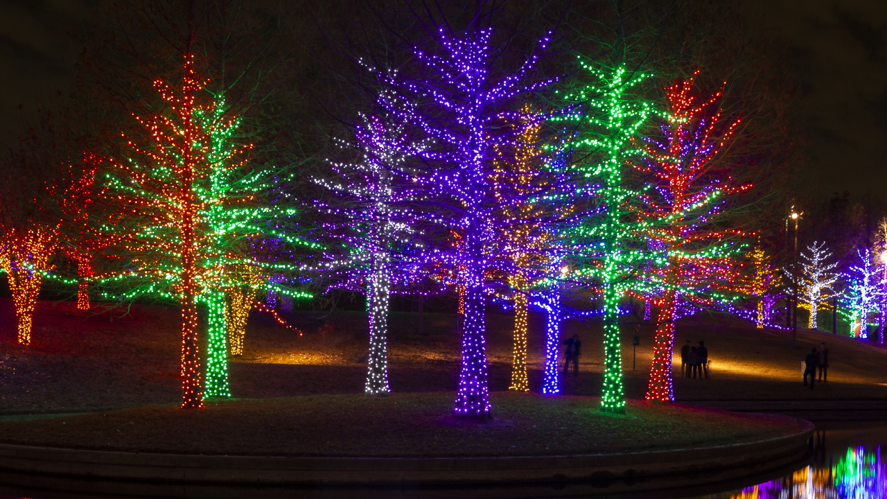 YPG Meetup_Virtuvian Lights featured image