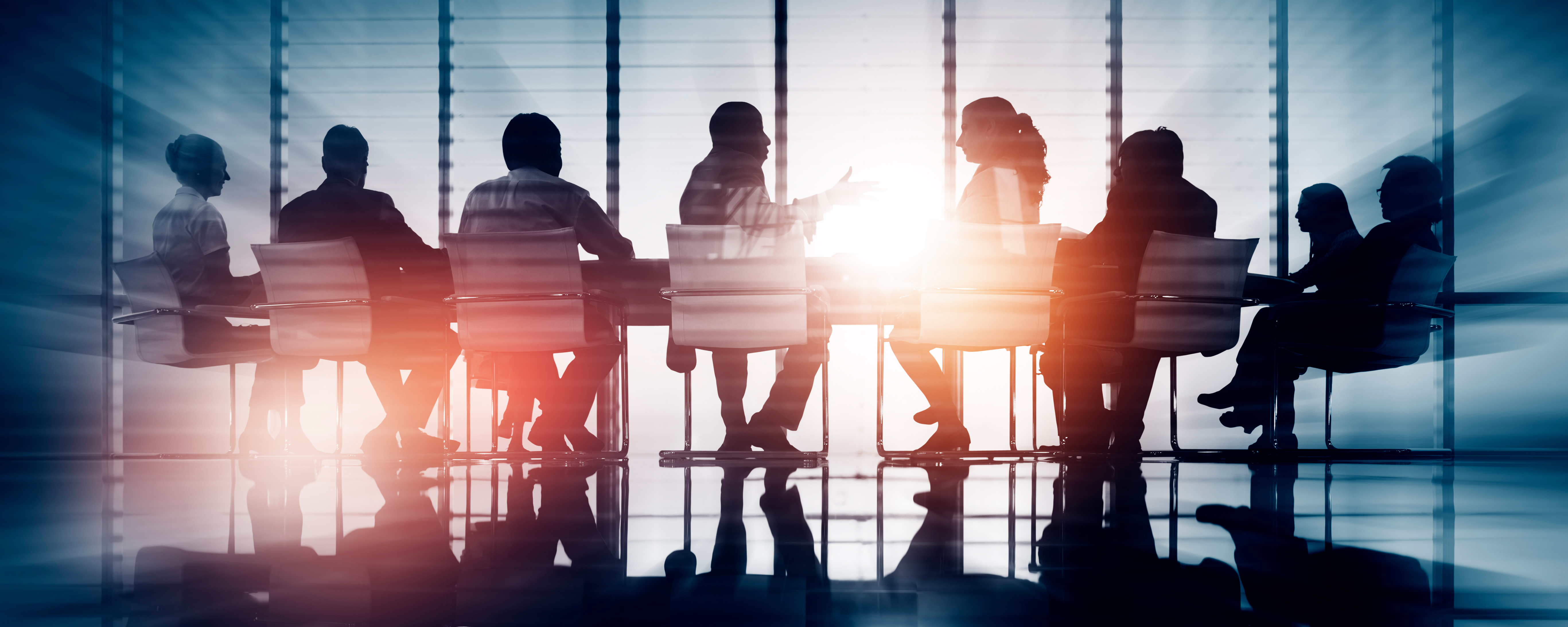 Mid Year Council Meeting