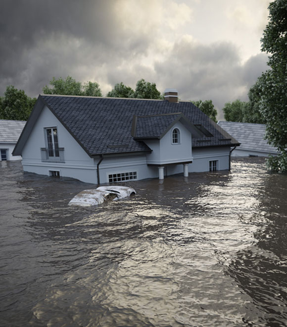 Disaster Disaster