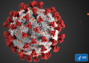 The Coronavirus