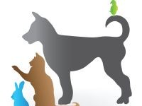 iStock-665047938 Resized