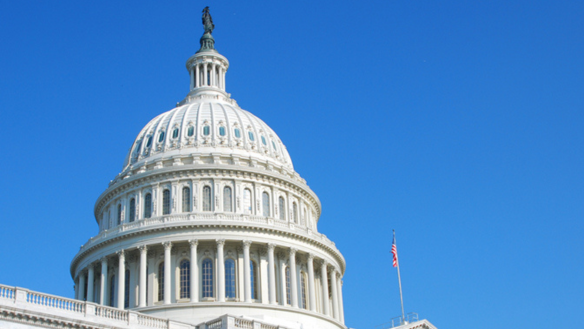 U.S. Capitol in Washington D.C.
