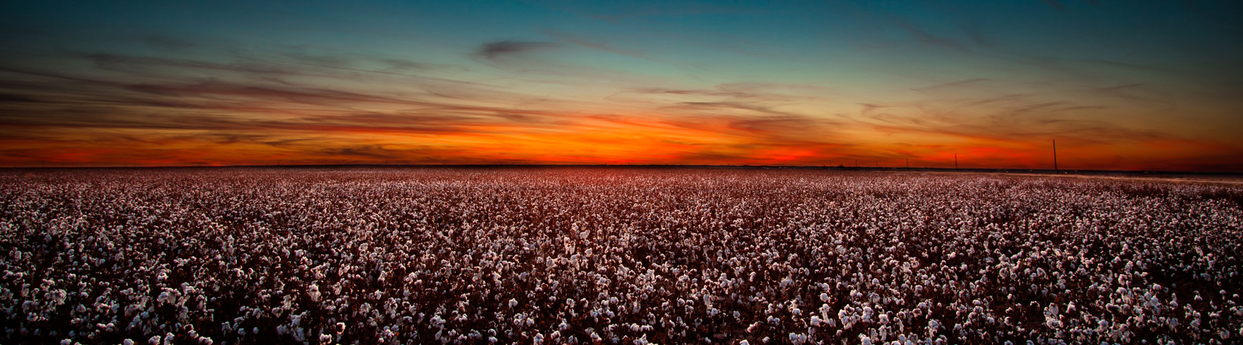 SouthPlains