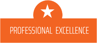 Professional Excellence orange graphic Professional Excellence