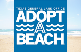 Adopt a Beach